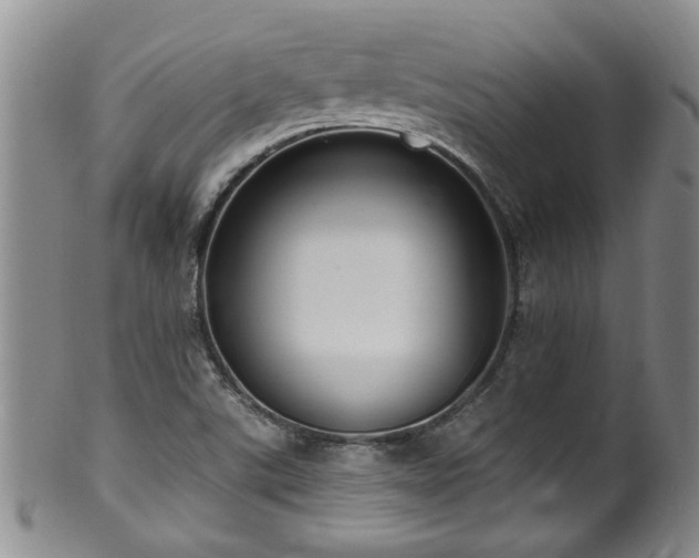 X0000100361507200806061125