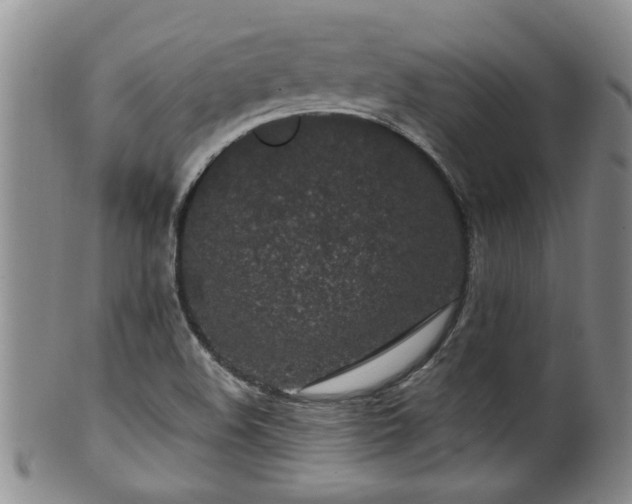 X0000100361508200806061125