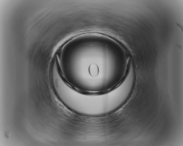 X0000100361510200806061125