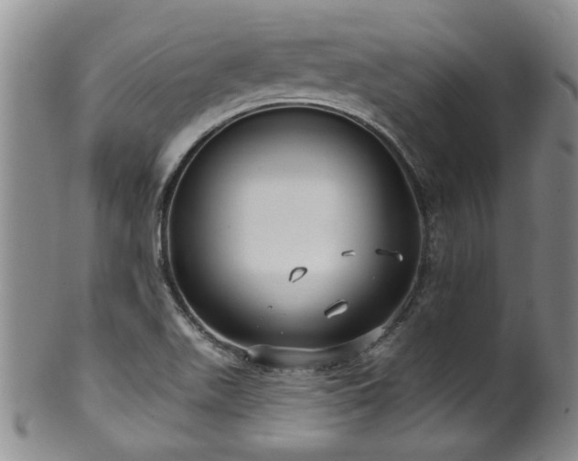 X0000100361511200806061125