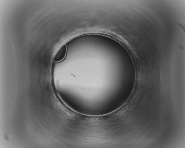 X0000100361512200806061125