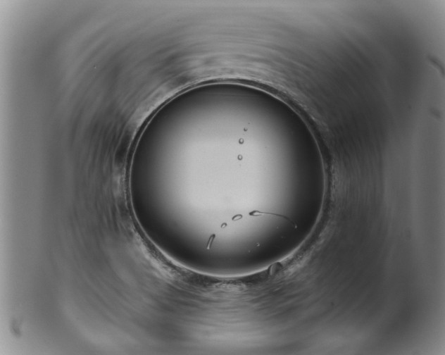X0000100361513200806061125