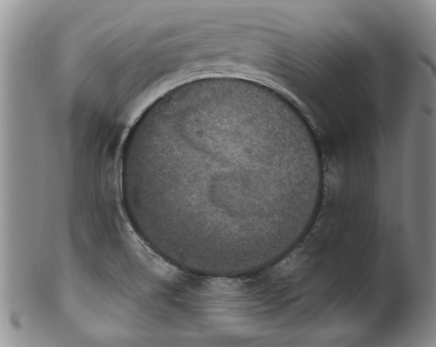 X0000100361514200806061125