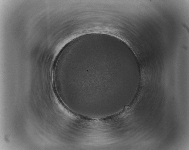 X0000100361515200806061125
