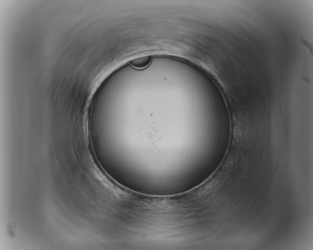 X0000100361516200806061125