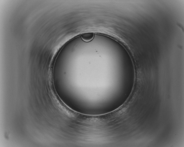 X0000100361517200806061125