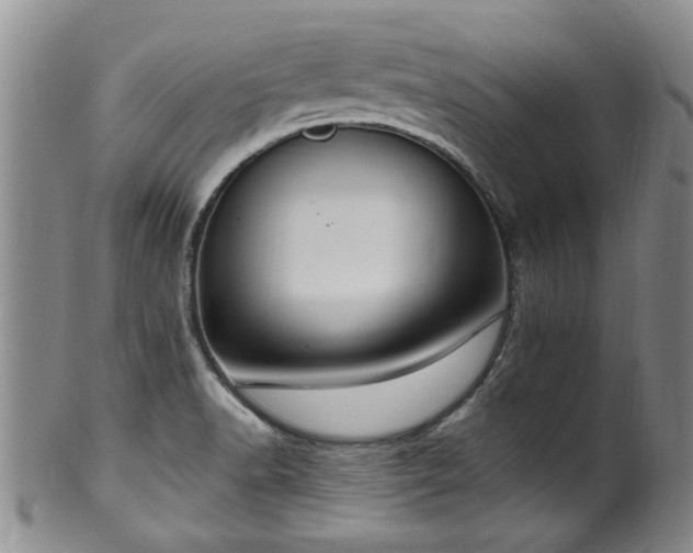 X0000100361518200806061125