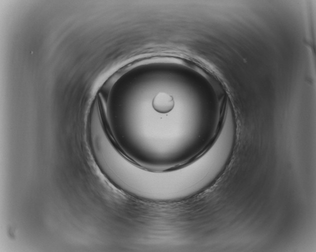 X0000100361520200806061125