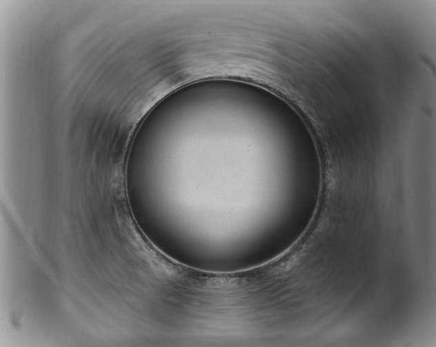 X0000100361521200806061125