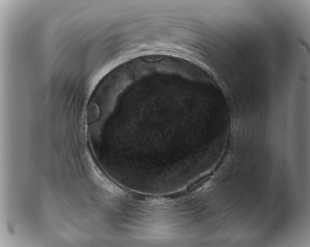 X0000100361522200806061125