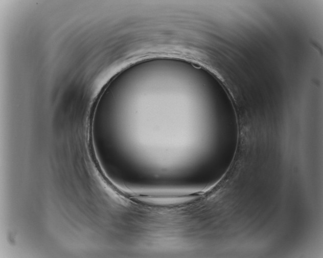 X0000100361523200806061125