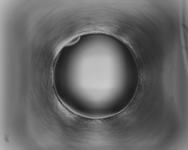 X0000100361524200806061125