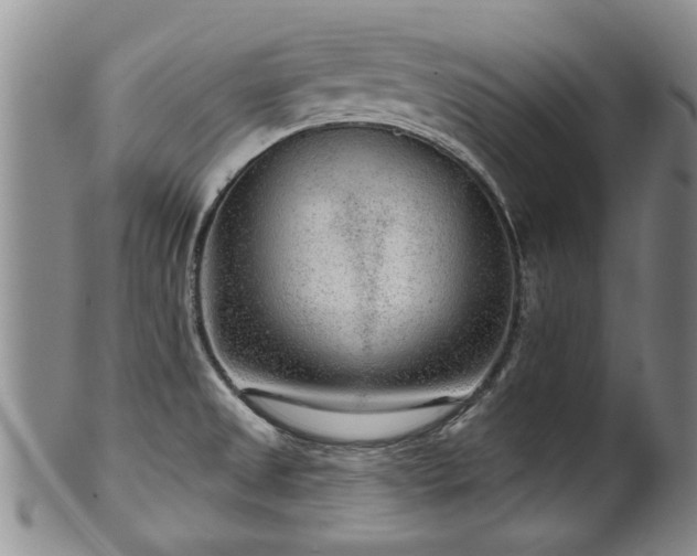 X0000100361525200806061125