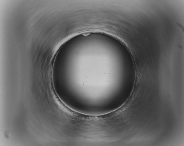 X0000100361526200806061125