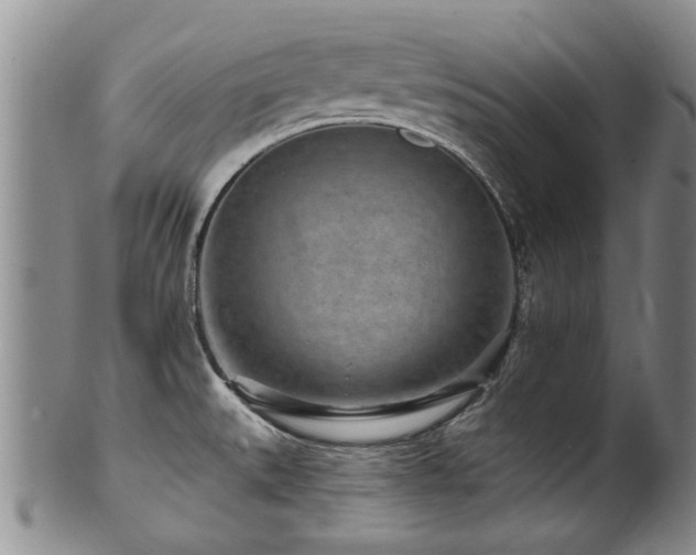 X0000100361527200806061125