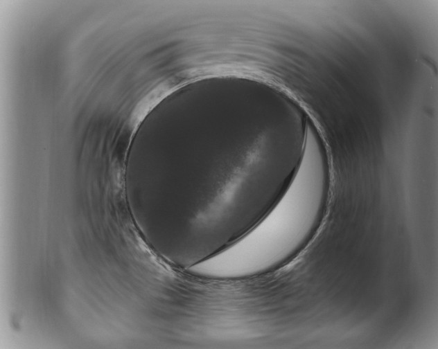 X0000100361529200806061125