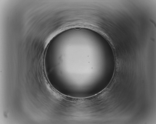 X0000100361530200806061125