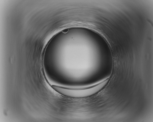 X0000100361531200806061126