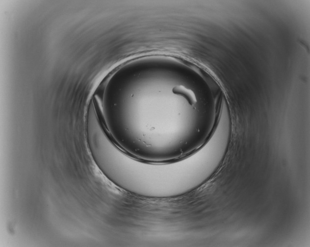 X0000100361532200806061126