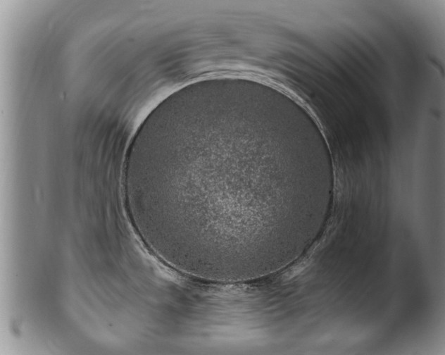 X0000100361533200806061126