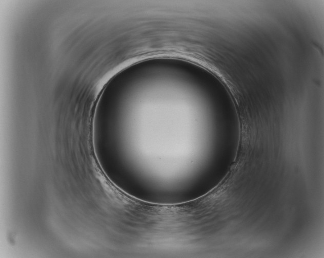 X0000100361534200806061126