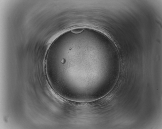 X0000100361535200806061126