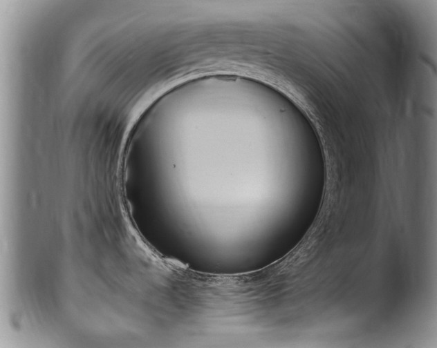 X0000100361536200806061126