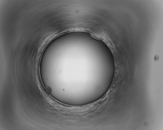 X0000100360001200806131025