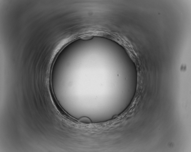 X0000100360003200806131025