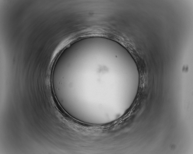 X0000100360004200806131025