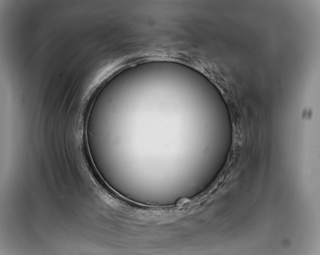 X0000100360005200806131025