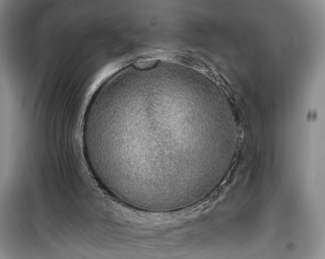 X0000100360006200806131025