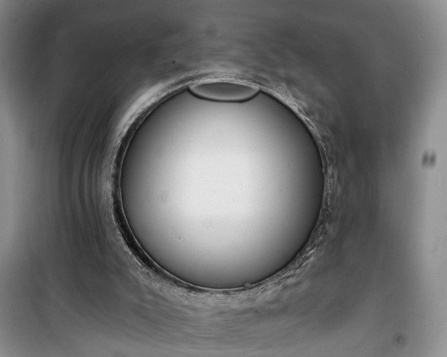 X0000100360007200806131025