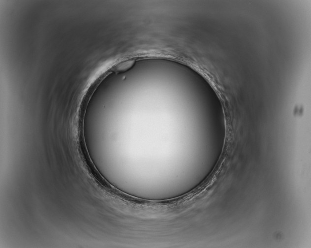 X0000100360008200806131025