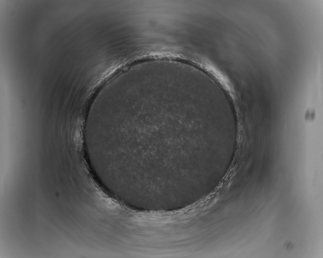 X0000100360009200806131025