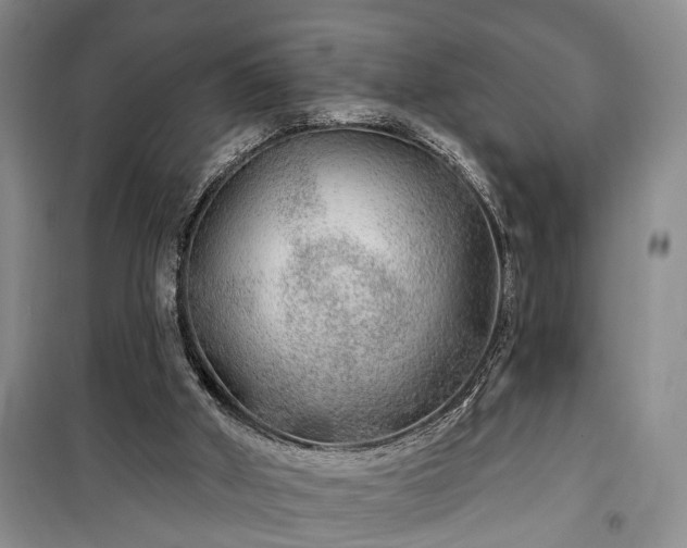 X0000100360010200806131025