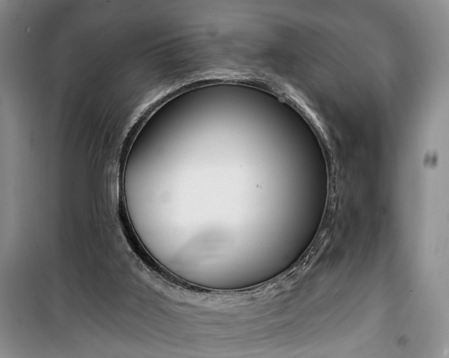 X0000100360011200806131025