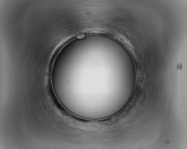 X0000100360012200806131025