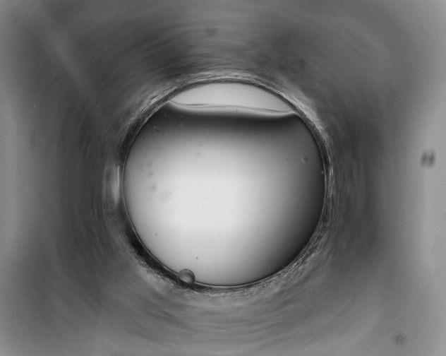 X0000100360013200806131025