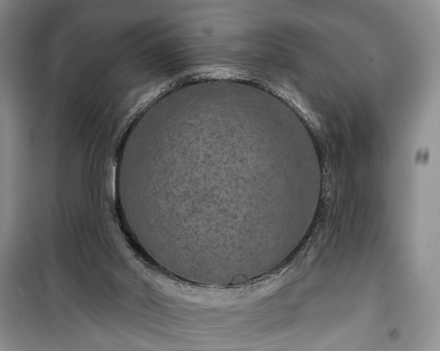 X0000100360014200806131025