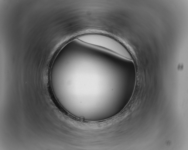 X0000100360015200806131025