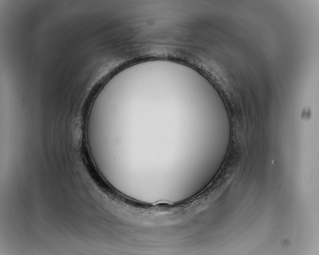 X0000100360016200806131025