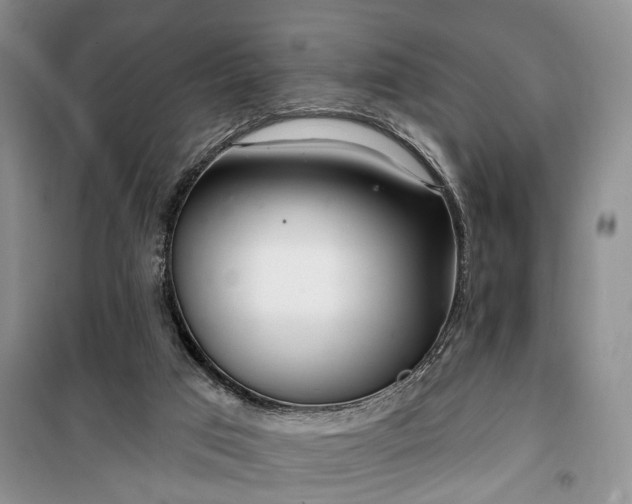 X0000100360017200806131025