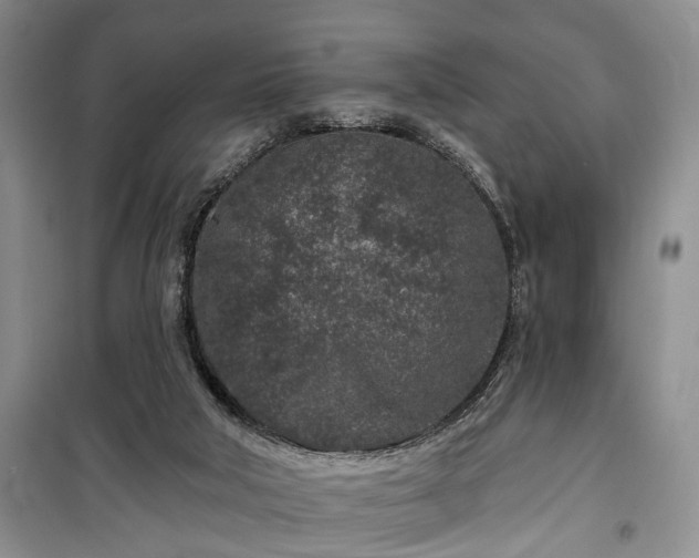 X0000100360018200806131025