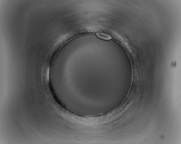 X0000100360019200806131025