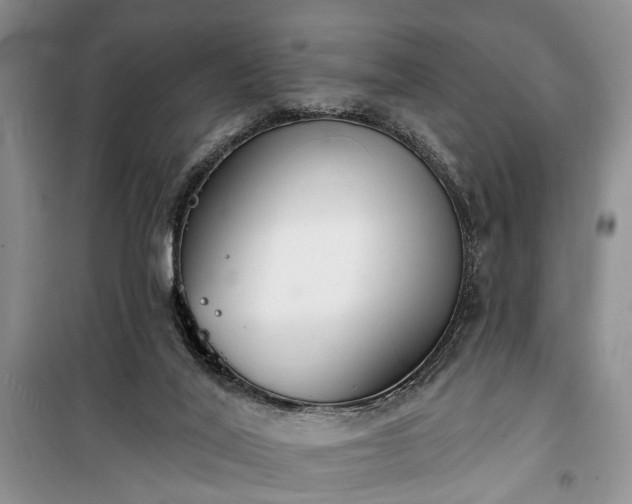 X0000100360020200806131025