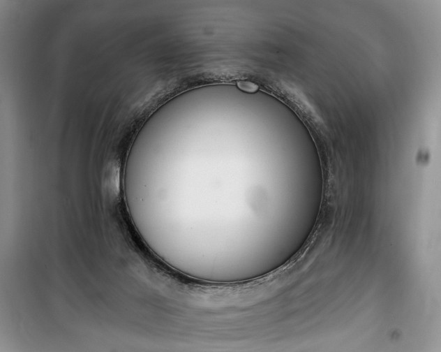 X0000100360021200806131025