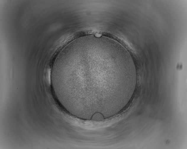 X0000100360022200806131025