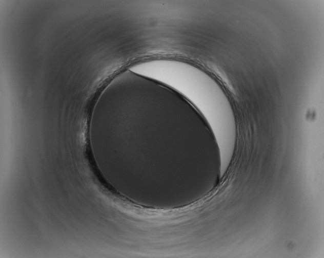 X0000100360023200806131025