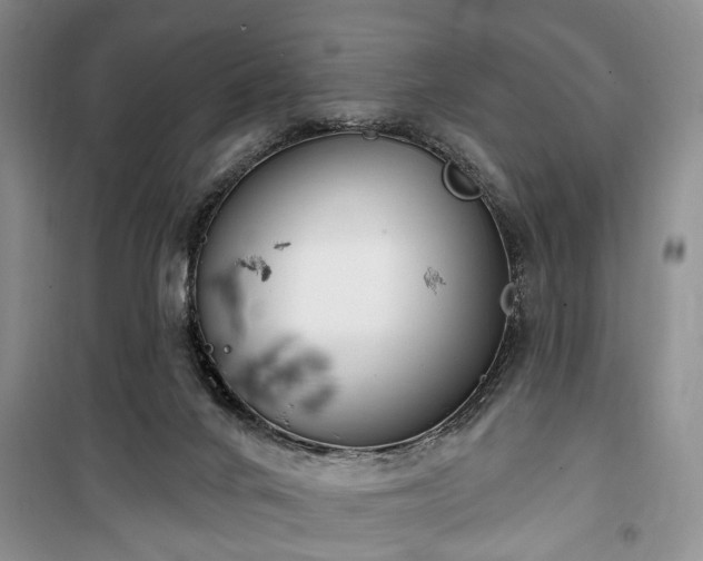 X0000100360024200806131025